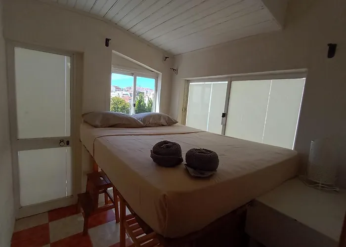 Olympo Shared Flat With Amazing River View 게스트하우스